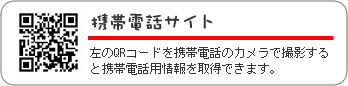 携帯サイト