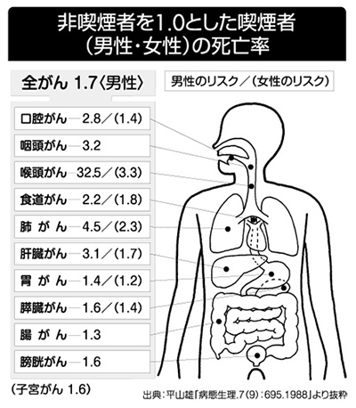 非喫煙者を1.0とした喫煙者(男性・女性)の死亡率