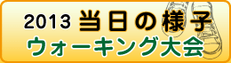 2013ウォーキング 当日の様子