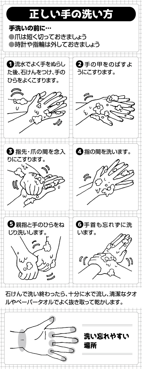 正しい手の洗い方