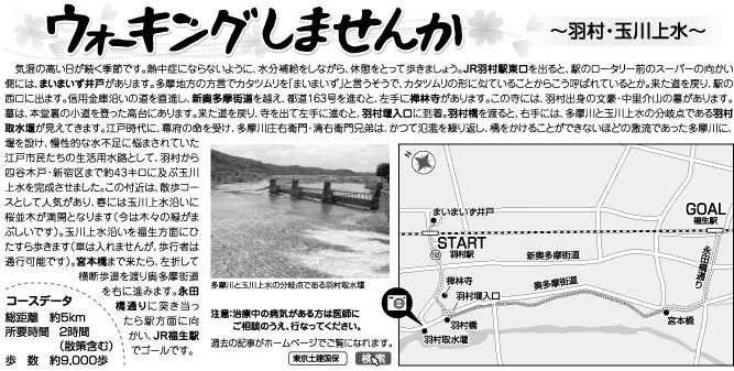 ウォーキングしませんか