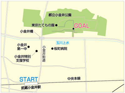 小金井公園地図