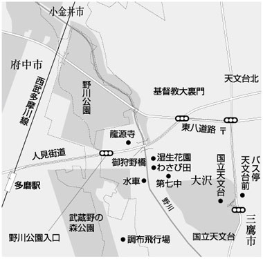 野川公園地図